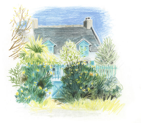 Croquis